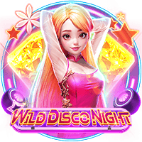 Wild Disco Night